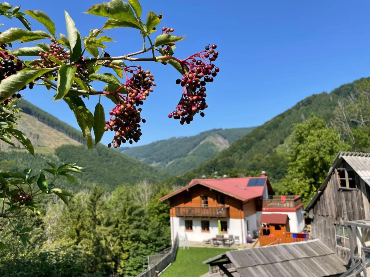 Buechlhof - App. Breitenstein Lilienfeld Extérieur photo