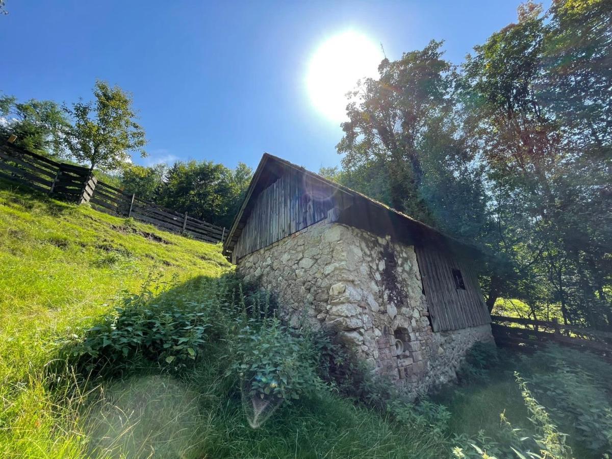 Buechlhof - App. Breitenstein Lilienfeld Extérieur photo